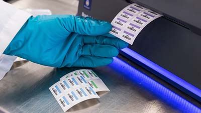 A lab technician printing labels and using the automatic cutter to separate them into sheets.