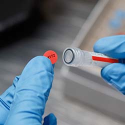 A red label being applied to the top of a tube.