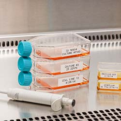 Glass containers with samples.