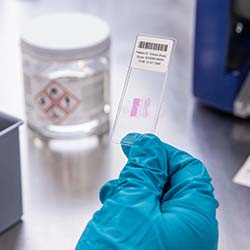 A microscope slide is labeled with a barcode.