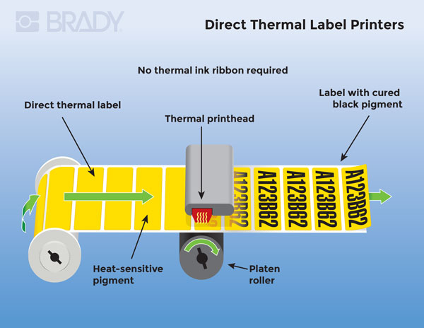 Infographic of a Direct Thermal Label Printer.