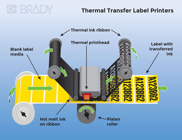 Infographic of a Thermal Transfer Label Printer.