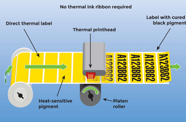 A diagram of a direct thermal label printer.