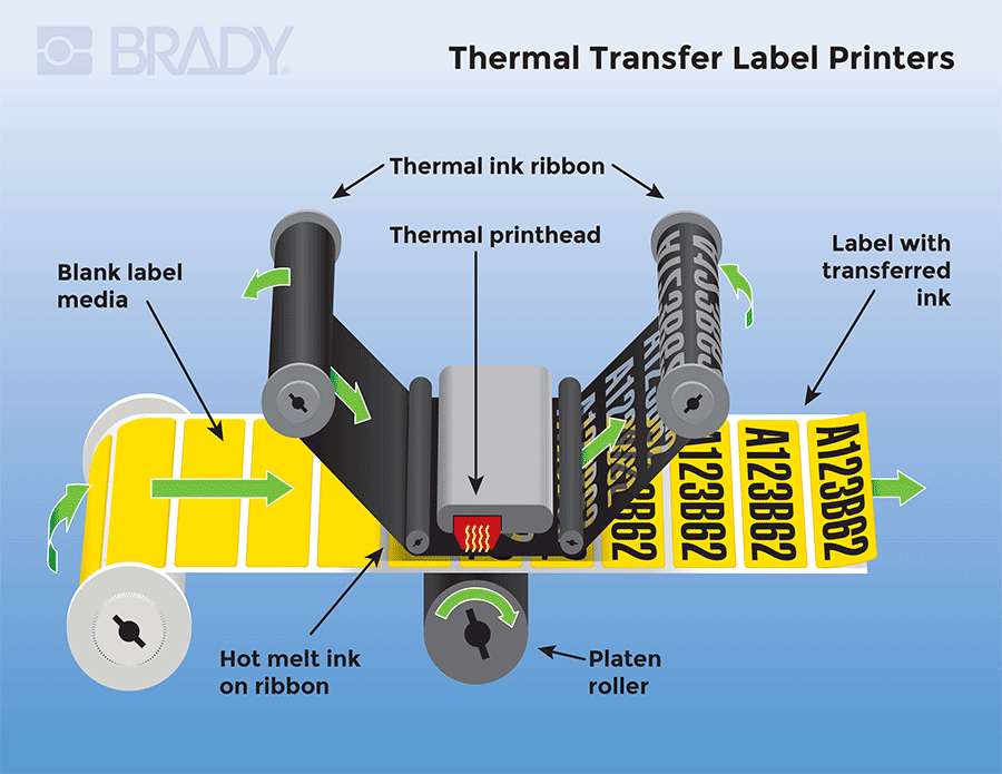 Schematic showing parts and functionality of a thermal transfer label printer.