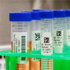 Several test tubes with labels being readied for cryogenic storage.